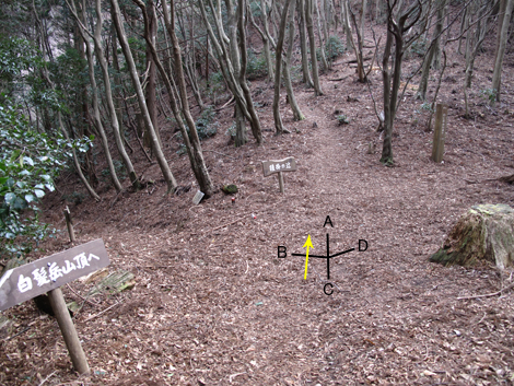 20140102hike (203)
